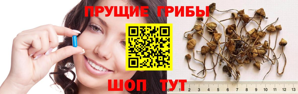 Нерюнгри  закладки  Вход с VPN  Галлюциногенные грибы прущие грибы 